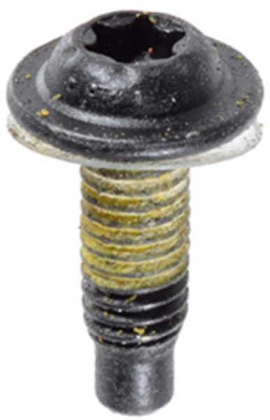 Torx Screws