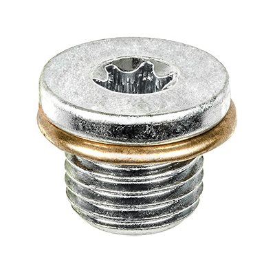 Oil Drain Plugs W/Gaskets