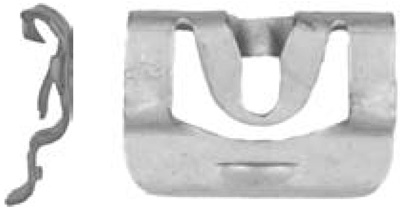 Windshield & Back Glass